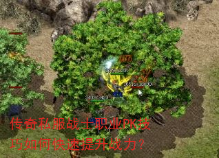 传奇私服战士职业PK技巧如何快速提升战力? 传奇私服战士职业PK技巧如何快速提升战力?