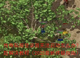 传奇私服登录器无法启动怎么办?常见问题解决教程(2025最新终极指南) 传奇私服登录器无法启动怎么办?常见问题解决教程(2025最新终极指南)