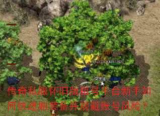 传奇私服怀旧版租号平台新手如何快速刷装备并规避账号风险? 传奇私服怀旧版租号平台新手如何快速刷装备并规避账号风险?