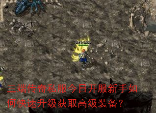 ���˴���˽�����տ���������ο���������ȡ�߼�װ����