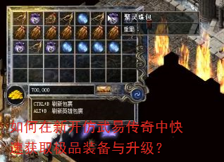 如何在新开仿武易传奇中快速获取极品装备与升级? 如何在新开仿武易传奇中快速获取极品装备与升级?