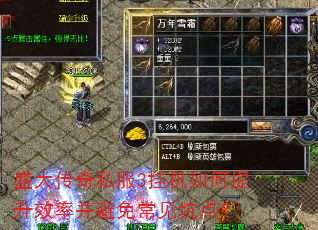 盛大传奇私服3挂机如何提升效率并避免常见坑点? 盛大传奇私服3挂机如何提升效率并避免常见坑点?