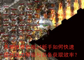 久耀传奇私服sf新手如何快速提升战力等级与装备获取效率? 久耀传奇私服sf新手如何快速提升战力等级与装备获取效率?
