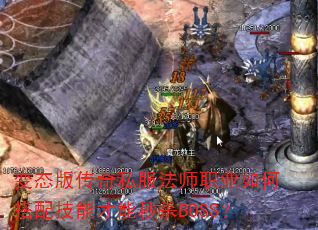 ̬洫˽ʦְҵδ似ܲɱBOSS