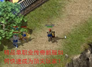 精品单职业传奇新服如何快速成为顶尖玩家? 精品单职业传奇新服如何快速成为顶尖玩家?