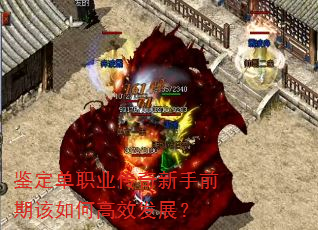 鉴定单职业传奇新手前期该如何高效发展? 鉴定单职业传奇新手前期该如何高效发展?