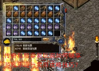 传奇私服零氪玩家如何畅享游戏乐趣与实用攻略技巧? 传奇私服零氪玩家如何畅享游戏乐趣与实用攻略技巧?