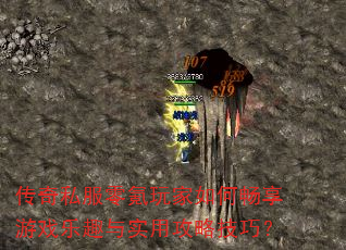 传奇私服零氪玩家如何畅享游戏乐趣与实用攻略技巧? 传奇私服零氪玩家如何畅享游戏乐趣与实用攻略技巧?