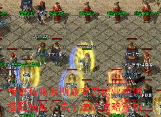 传奇私服后期最变态职业如何搭配技能?高手进阶攻略解析 传奇私服后期最变态职业如何搭配技能?高手进阶攻略解析