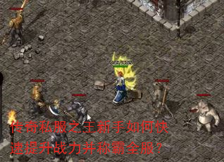 传奇私服之王新手如何快速提升战力并称霸全服? 传奇私服之王新手如何快速提升战力并称霸全服?