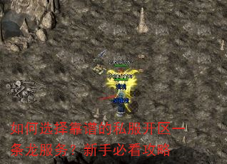 如何选择靠谱的私服开区一条龙服务?新手必看攻略 如何选择靠谱的私服开区一条龙服务?新手必看攻略
