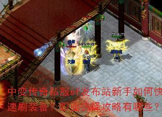 б䴫˽sfվοˢװְҵѡЩ