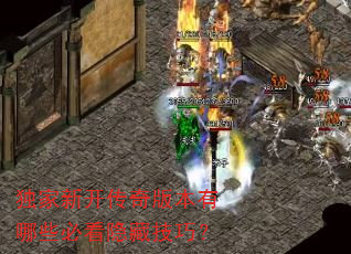 独家新开传奇版本有哪些必看隐藏技巧? 独家新开传奇版本有哪些必看隐藏技巧?