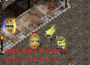 传奇私服找服网站有哪些实用技巧与避坑指南? 传奇私服找服网站有哪些实用技巧与避坑指南?