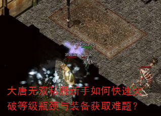 大唐无双私服新手如何快速突破等级瓶颈与装备获取难题? 大唐无双私服新手如何快速突破等级瓶颈与装备获取难题?