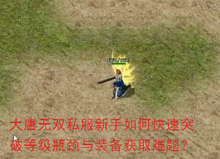 大唐无双私服新手如何快速突破等级瓶颈与装备获取难题? 大唐无双私服新手如何快速突破等级瓶颈与装备获取难题?