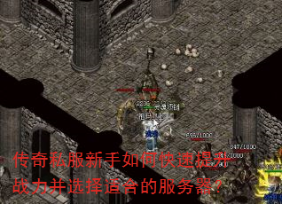 传奇私服新手如何快速提升战力并选择适合的服务器? 传奇私服新手如何快速提升战力并选择适合的服务器?