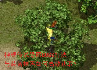 神舰传说隐藏BOSS打法与装备掉落如何高效获取? 神舰传说隐藏BOSS打法与装备掉落如何高效获取?