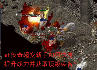 sf泬οսȡװ