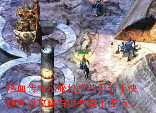 热血传奇私服址推荐及新手快速升级攻略有哪些实用技巧? 热血传奇私服址推荐及新手快速升级攻略有哪些实用技巧?