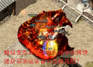 ̬ϻ˽οٻȡװ뼼ܴ䣿