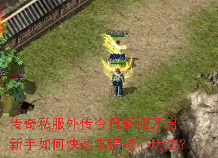传奇私服外传今日新服开启,新手如何快速掌握核心玩法? 传奇私服外传今日新服开启,新手如何快速掌握核心玩法?