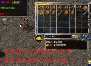 传奇新开公益服wlk中如何零氪金快速提升战力等级? 传奇新开公益服wlk中如何零氪金快速提升战力等级?