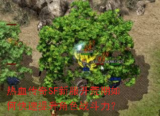热血传奇SF新服开荒期如何快速提升角色战斗力? 热血传奇SF新服开荒期如何快速提升角色战斗力?