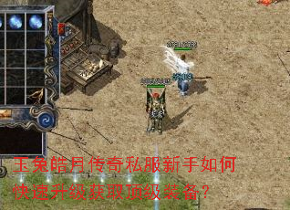 玉兔皓月传奇私服新手如何快速升级获取顶级装备? 玉兔皓月传奇私服新手如何快速升级获取顶级装备?