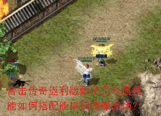 合击传奇返利版甄子丹专属技能如何搭配能横扫跨服战场? 合击传奇返利版甄子丹专属技能如何搭配能横扫跨服战场?