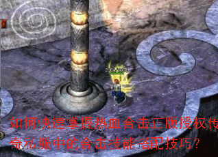 οѪϻȨ˽еĺϻܴ似ɣ