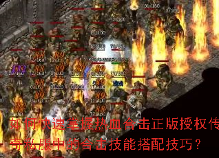 οѪϻȨ˽еĺϻܴ似ɣ