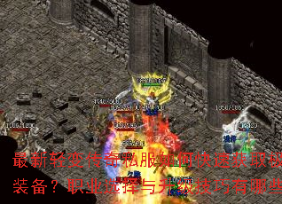 䴫˽οٻȡƷװְҵѡЩ