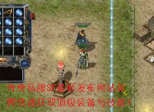 ˽SF·վοٻȡװ뼼ܣ