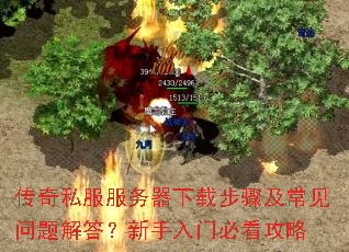 传奇私服服务器下载步骤及常见问题解答?新手入门必看攻略 传奇私服服务器下载步骤及常见问题解答?新手入门必看攻略