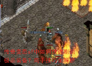 �����̬sf����ο���ˢ����Ʒװ�������ּ���ȫ����