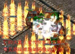 1.80�������ߴ���˽������������Ϸ������ο��ٽ����