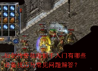 �ɽ�����˽��������������Щ�ر������볣��������