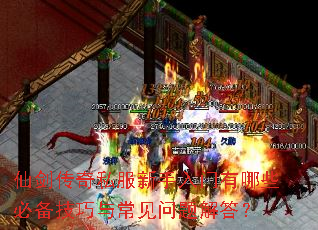 �ɽ�����˽��������������Щ�ر������볣��������