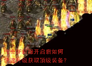 ����SF�·���������ο���������ȡ����װ����