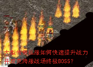 ���ʹ���˽����ο�������ս�������˿��ս���ռ�BOSS��