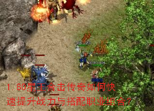 1.80�����ϻ�������ο�������ս�������ְҵ��ϣ�