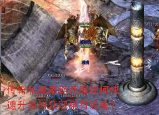 ����˽�����¿�����ο����������ȡϡ��װ����