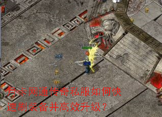 �¿���ͨ����˽����ο���ˢװ������Ч������