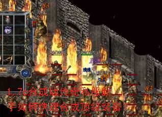 1.76�ϳɰ洫��˽��������ο��ٺϳɶ���װ����