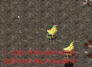 1.70���Ŵ���˽������ο���������ɫ�ȼ���װ�����ԣ�