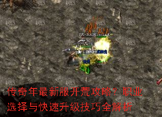 ���������·����Ĺ��ԣ�ְҵѡ���������������ȫ����