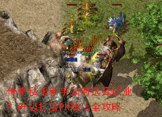 ����˽���������ѡ��ְҵ��������PK����ȫ����