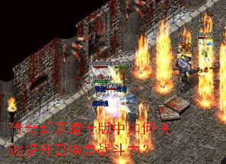 �����¿���ʿ������ο��������ٻ���ս������