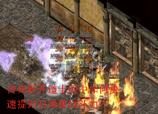 �����¿���ʿ������ο��������ٻ���ս������